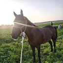 ���� ���, ������, 31 ��� - ��������� 3 �������� 2023