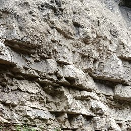 ���������, ������, 43 ����