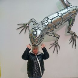 �����, ������, 56 ���