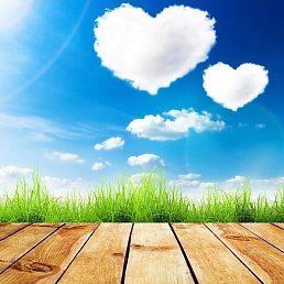 ������, ������, 48 ���