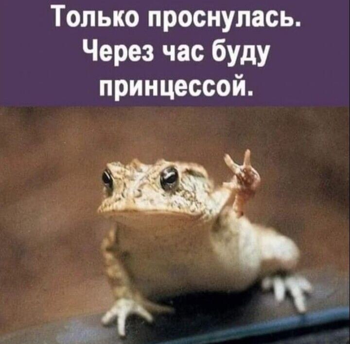 ~ ~ ~ ~ ~ ~ ~ ~ ~ ~ ~ ~ ~ ~ ~