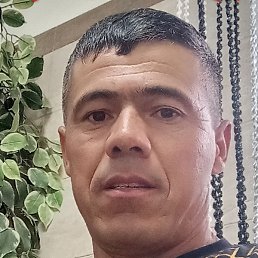 �����, ������, 43 ����