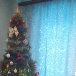 ���� ������, ������, 45 ��� - ��������� 11 ���� 2023