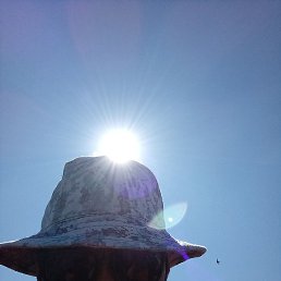 �����, ������, 55 ���