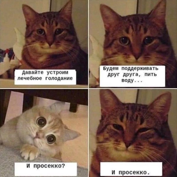    - 19  2023  20:16