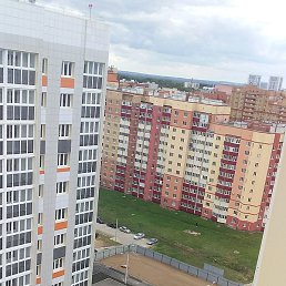 ����, ������, 37 ���