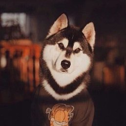 ������ �, ������, 32 ����