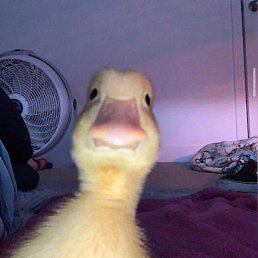 , , 37 