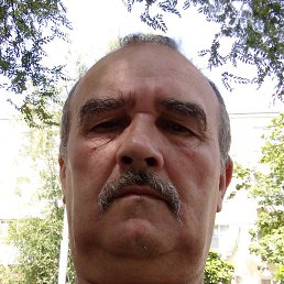 ��������., ������-��-����, 66 ���