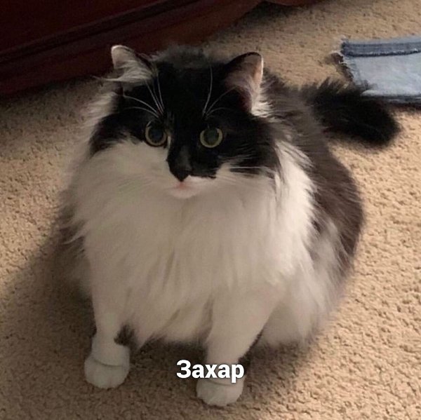    - 2