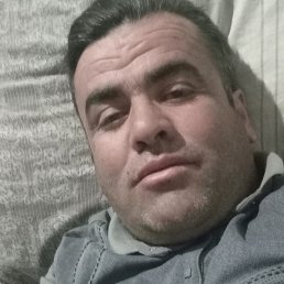 ����, �����-���������, 43 ����