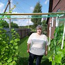 ���� �������, ������, 56 ��� - ��������� 11 ������� 2023 � ������ ���� ����������