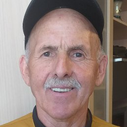 ������, ������, 41 ���