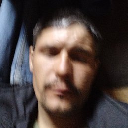 �����, ������, 37 ���