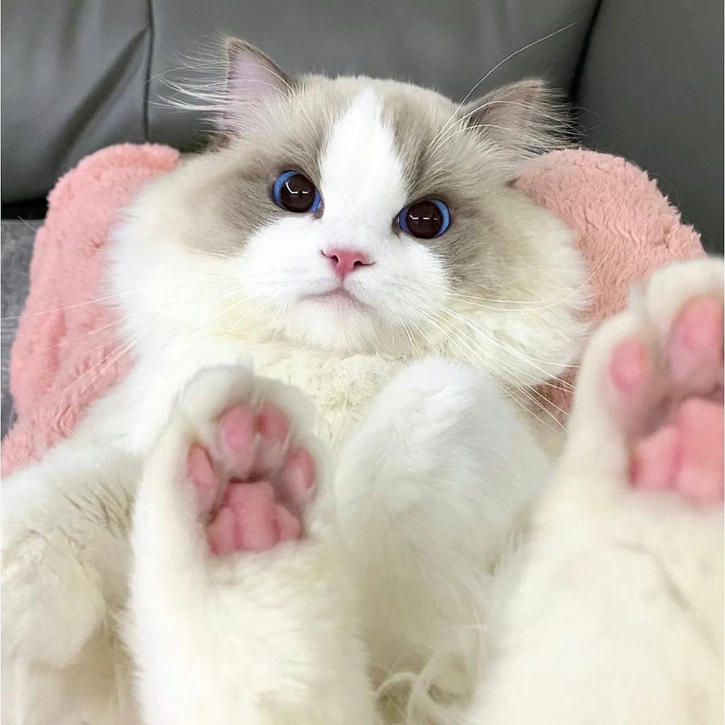      ? - 3