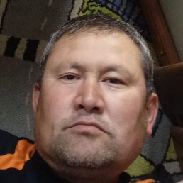 ����, ������, 43 ����