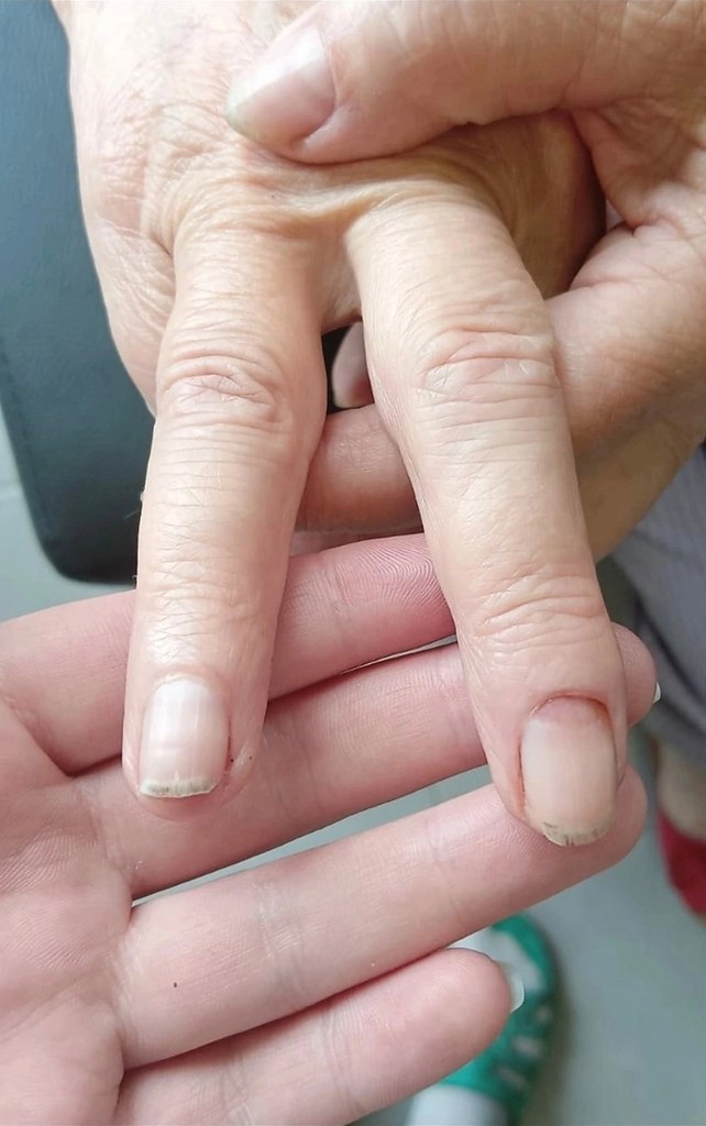 . , .    .    ,    ...