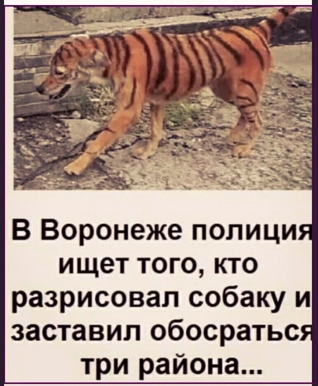  - 19  2023  23:11