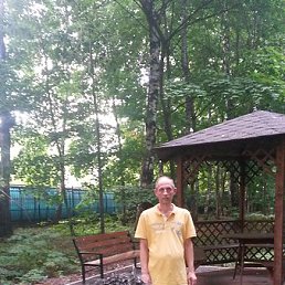 �����, ������, 54 ����