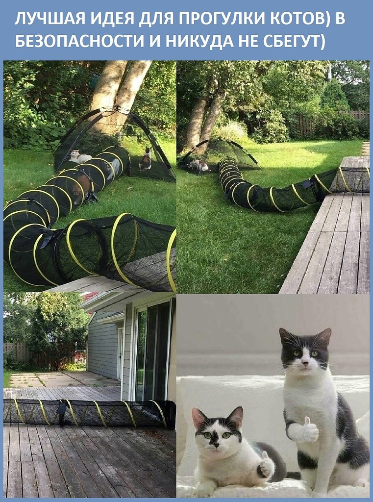   !        ,    ,  ...