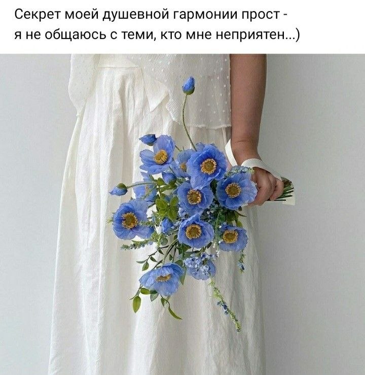   ,    . - 14  2023  23:21