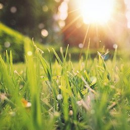 �������, �������, 64 ����