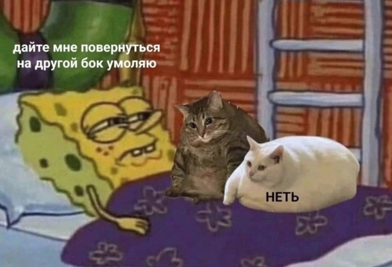   :