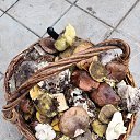 ���� �������, ���������, 57 ��� - ��������� 22 ����� 2023