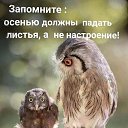 ���� �����, ���������� - ��������� 9 �������� 2023