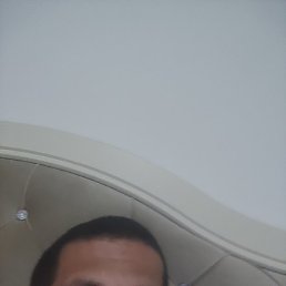 ������, ���������, 31 ���