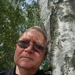 ����, ������, 66 ���