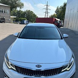 ����, �������, 38 ���