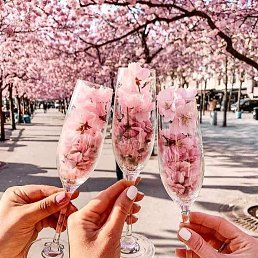 ���� Lilia, �������, 48 ��� - ��������� 14 ������ 2023