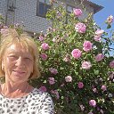 ���� ������, ������, 67 ��� - ��������� 4 ����� 2023 � ������ ���� ����������