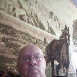 ������, �����������, 56 ���