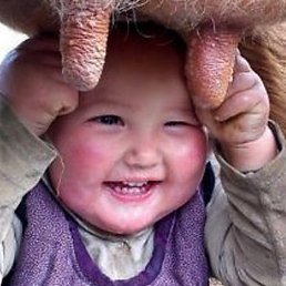 �����, ������, 61 ���