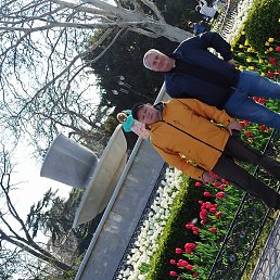 ���������, �����������, 56 ���