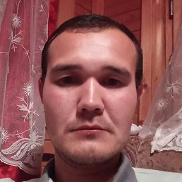 ����, ������, 41 ���