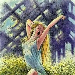 ����, �������, 46 ���