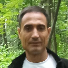 �����, ������, 46 ���