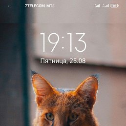 ���� ����, �������, 47 ��� - ��������� 31 ������� 2023