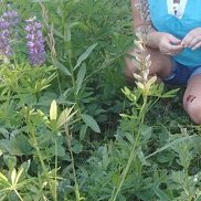 Вера, 51 год, Тамбов Вера, 51 год, Тамбов