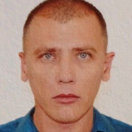 �������, �������, 41 ���