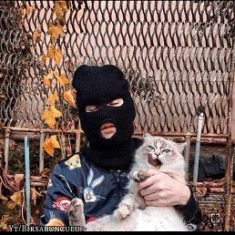 Z A L O Y, ����, 20 ���