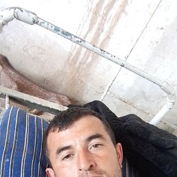 �����, �������, 39 ���