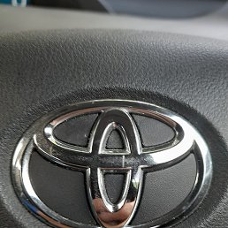 ����, �����������, 38 ���