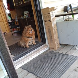 ���� Tahir, ������, 24 ���� - ��������� 24 ��� 2023