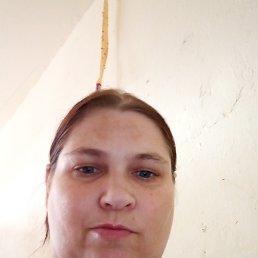 , 43 , 