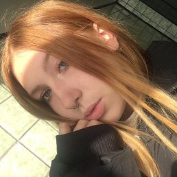 , , 24 