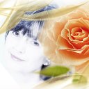 ���� �������, ������ - ��������� 2 ���� 2023 � ������ ������ ��������